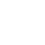 arcelor mittal